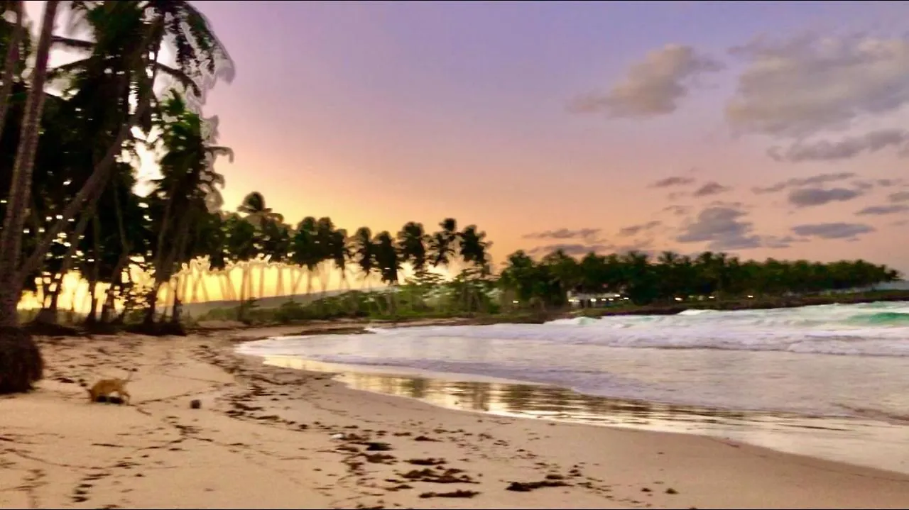 كابريرا Baoba Breeze Bed & Breakfast- Beachfront Paradise