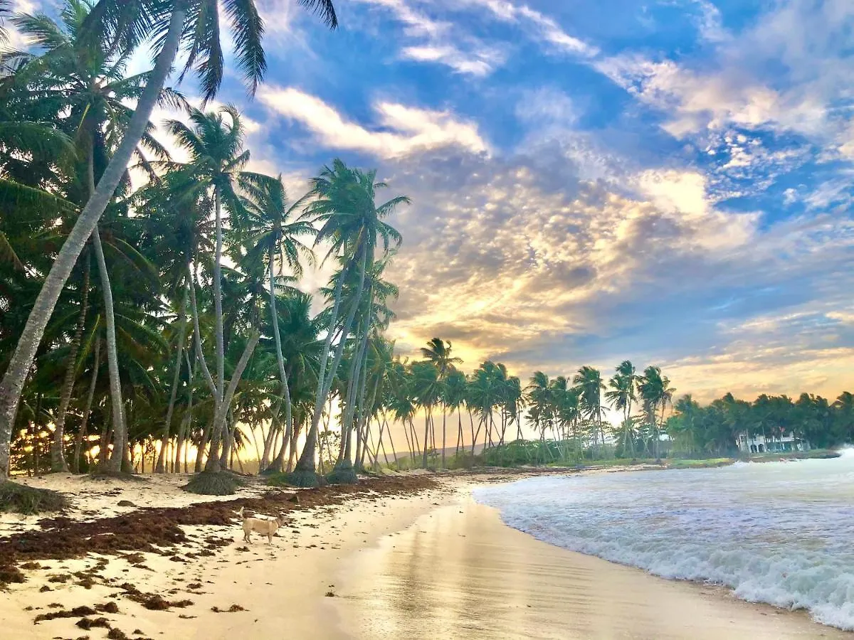 كابريرا Baoba Breeze Bed & Breakfast- Beachfront Paradise