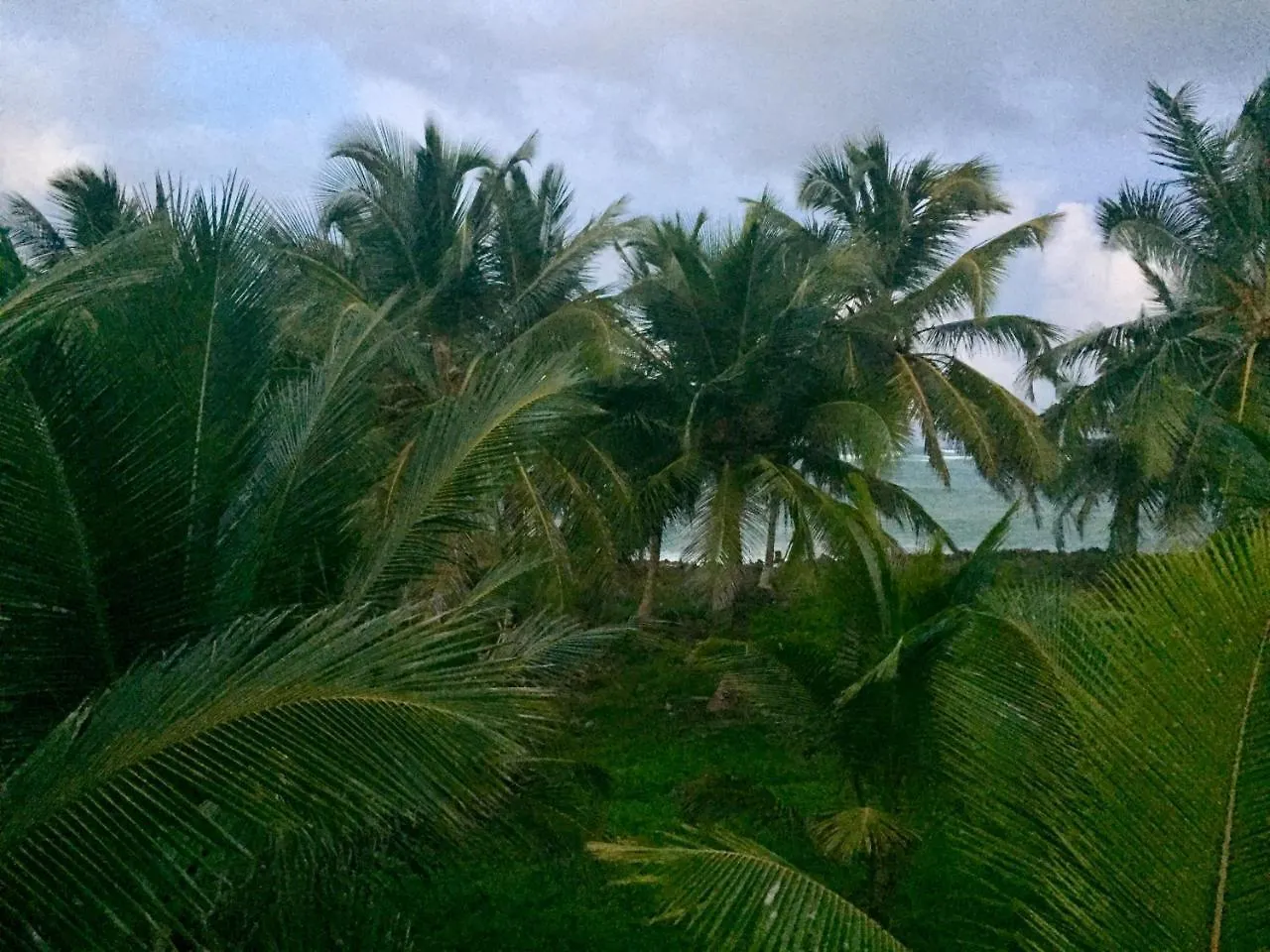 كابريرا Baoba Breeze Bed & Breakfast- Beachfront Paradise