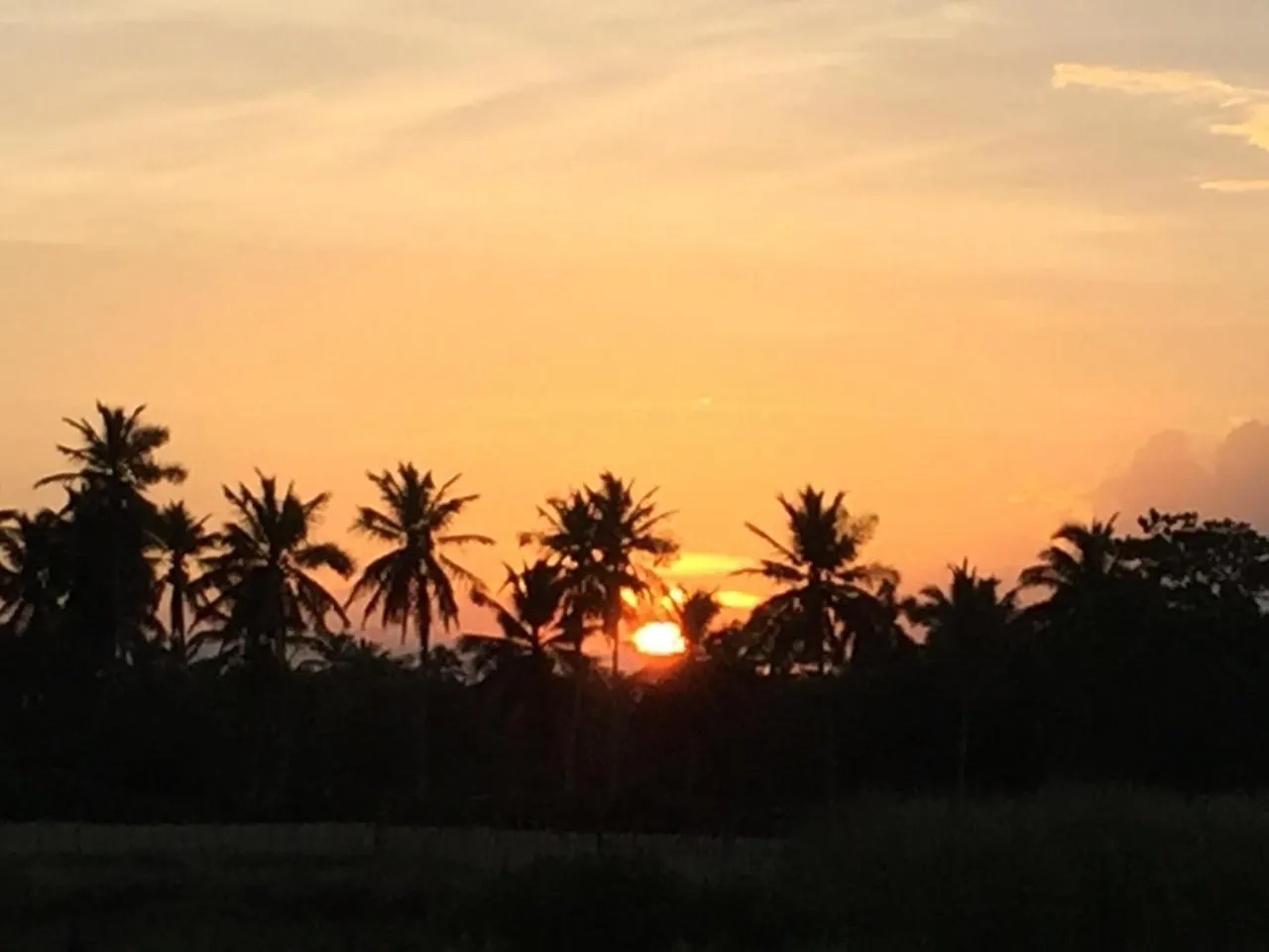 كابريرا Baoba Breeze Bed & Breakfast- Beachfront Paradise جمهورية الدومينيكان