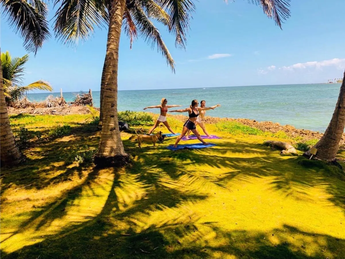 كابريرا Baoba Breeze Bed & Breakfast- Beachfront Paradise 2*,